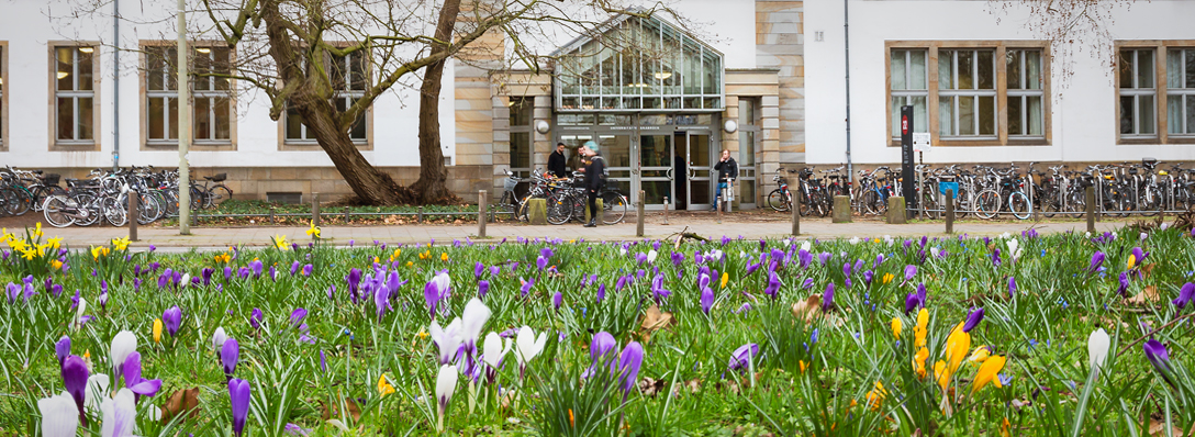 Blühende Krokusse auf dem Grünstreifen gegenüber dem Juridicum, Foto: Barbara Mönkediek / Universitätsbibliothek